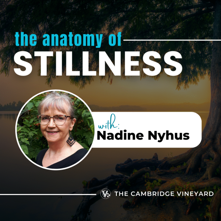 The Anatomy of Stillness ~ Nadine Nyhus