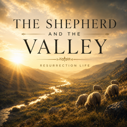 The Shepherd and the Valley episode artwork